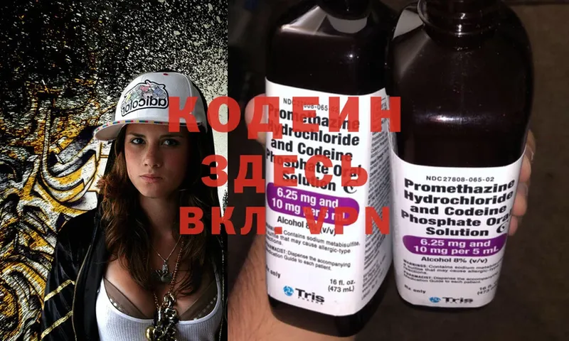 где можно купить   Щёкино  Кодеин Purple Drank 